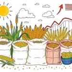 Agricultural Markets: Food Security and Price Volatility