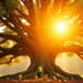 Dividend Aristocrats: Building an Income Stream That Lasts